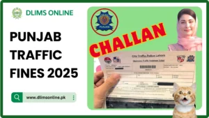Punjab Traffic Fines 2025 New Rules and Updated Penalties Explained 9 Punjab Traffic Fines 2025 dlimsonline.pk
